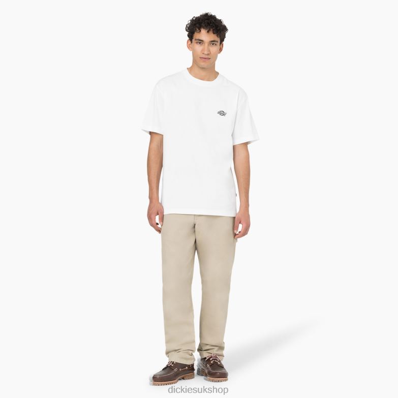Regular Fit Stonewashed Duck Carpenter Pants Men Dickies Stonewashed Desert Sand (SDS) 88T84252 Apparel