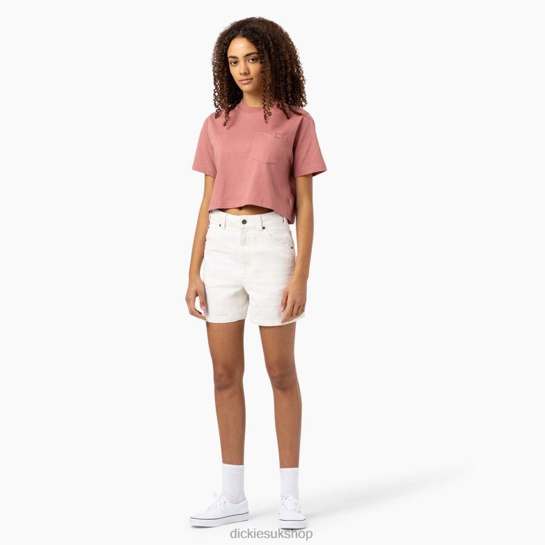 Duck Shorts 5\" Women Dickies Stonewashed Cloud (S2C) 88T842244 Apparel