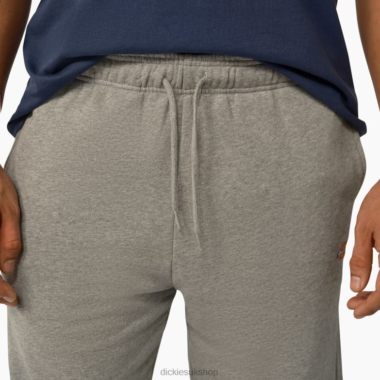 Mapleton Shorts 9\" Men Dickies Heather Gray (HG) 88T84476 Apparel