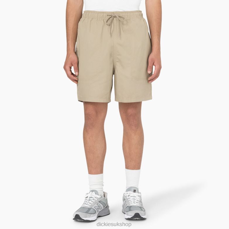 Desert Sand (DS)