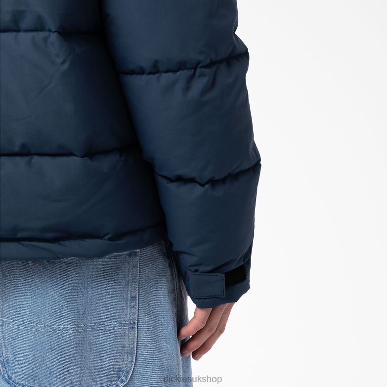 Glacier View Anorak Puffer Jacket Men Dickies Regular 88T841176 Apparel