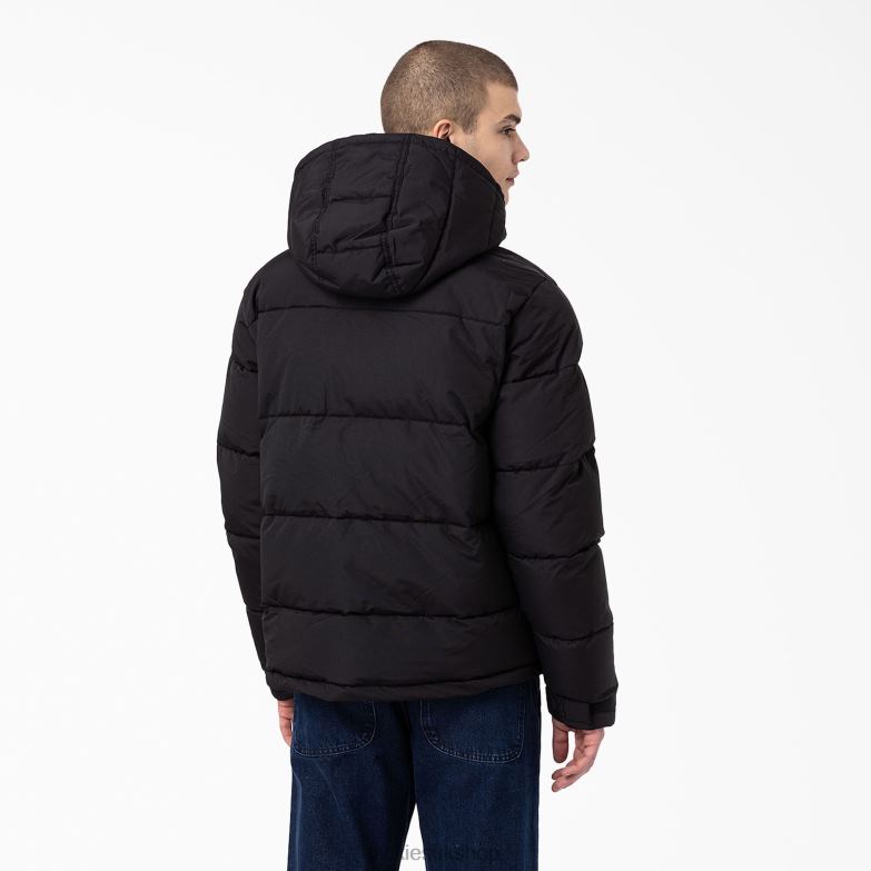Glacier View Anorak Puffer Jacket Men Dickies Regular 88T841177 Apparel