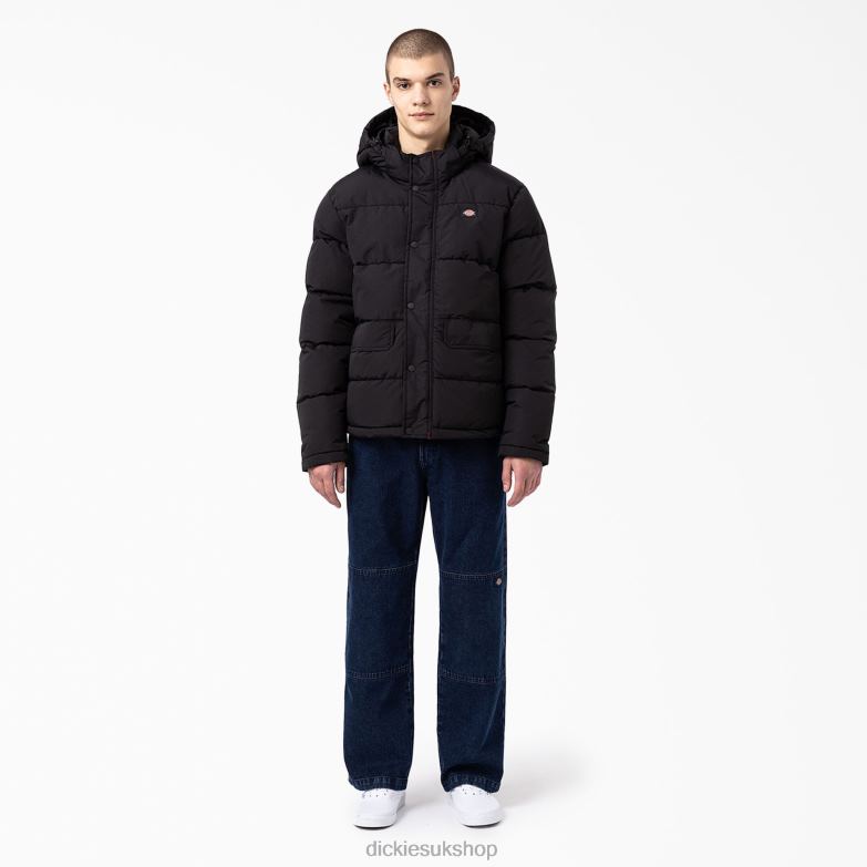 Glacier View Anorak Puffer Jacket Men Dickies Regular 88T841177 Apparel