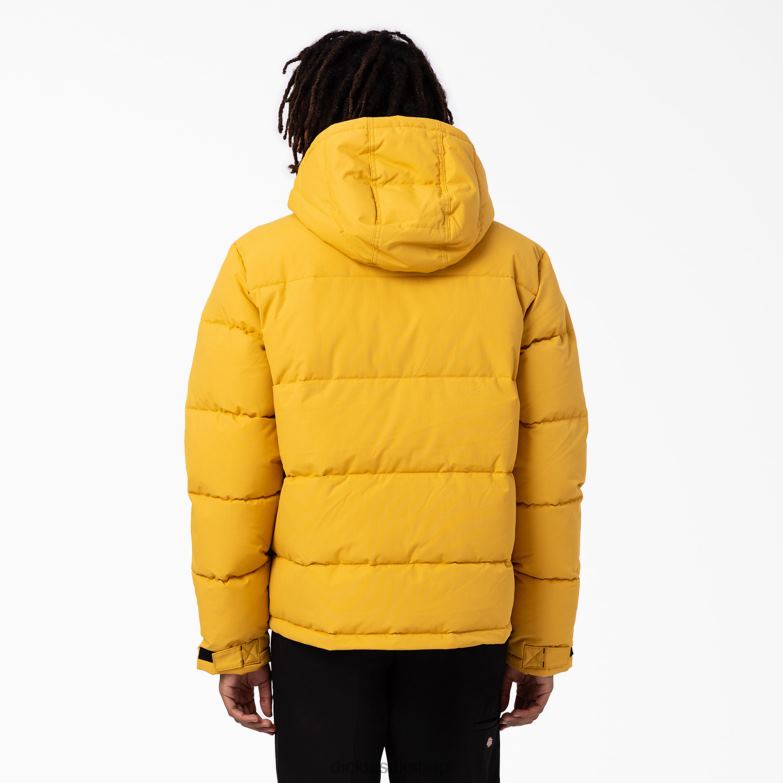 Glacier View Anorak Puffer Jacket Men Dickies Regular 88T841178 Apparel