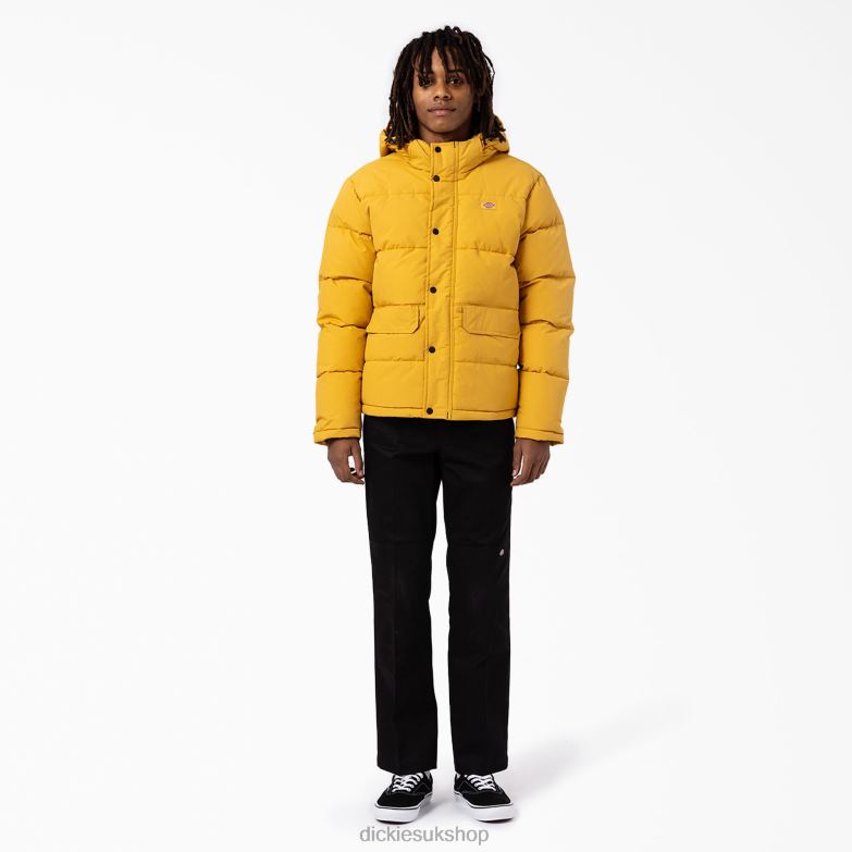 Glacier View Anorak Puffer Jacket Men Dickies Regular 88T841178 Apparel
