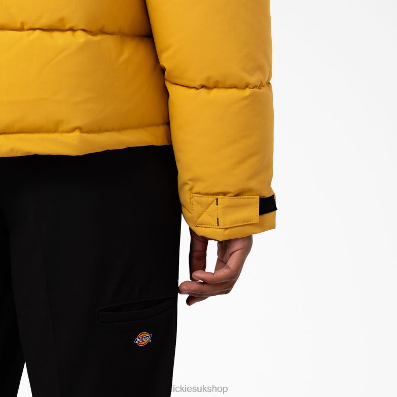 Glacier View Anorak Puffer Jacket Men Dickies Regular 88T841178 Apparel