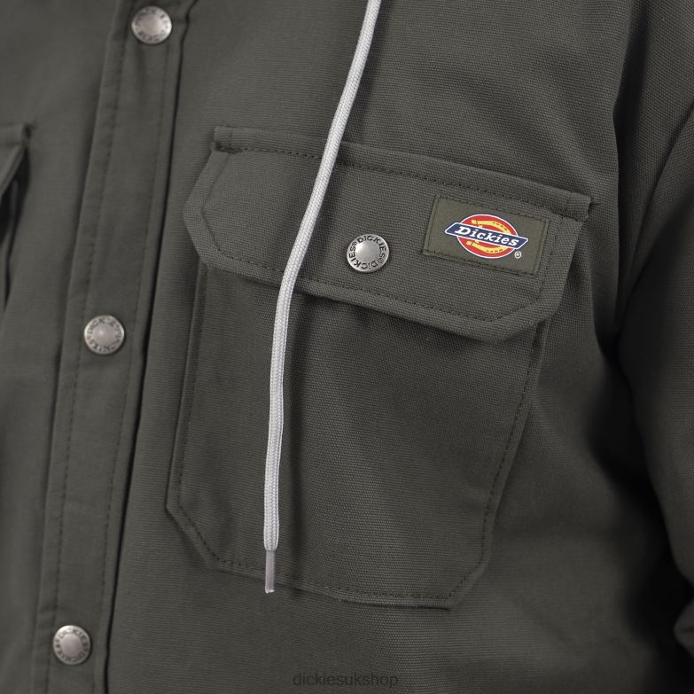 Relaxed Fit Icon Hooded Duck Quilted Shirt Jacket Men Dickies Olive Green (OG) 88T841054 Apparel