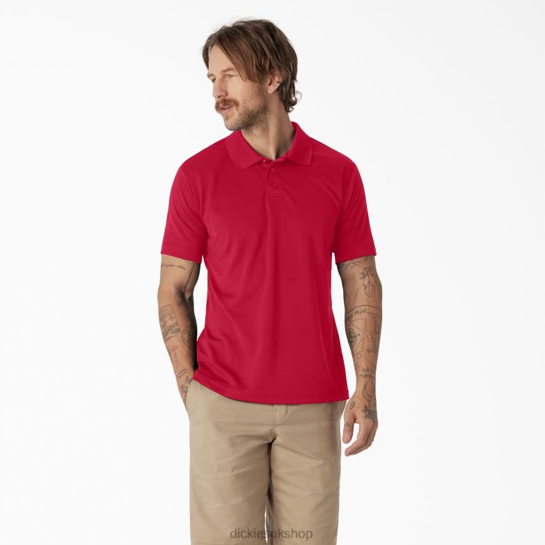 Short Sleeve Performance Polo Shirt Men Dickies Apple Red (LR) 88T84672 Apparel