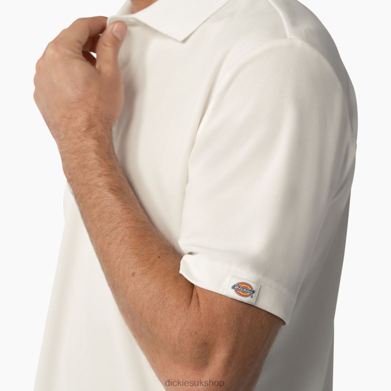 Short Sleeve Performance Polo Shirt Men Dickies White (WH) 88T84673 Apparel