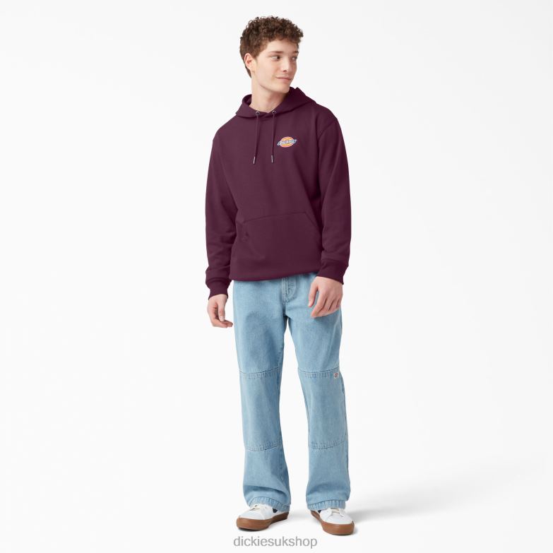 Fleece Embroidered Chest Logo Hoodie Men Dickies Regular 88T841207 Apparel