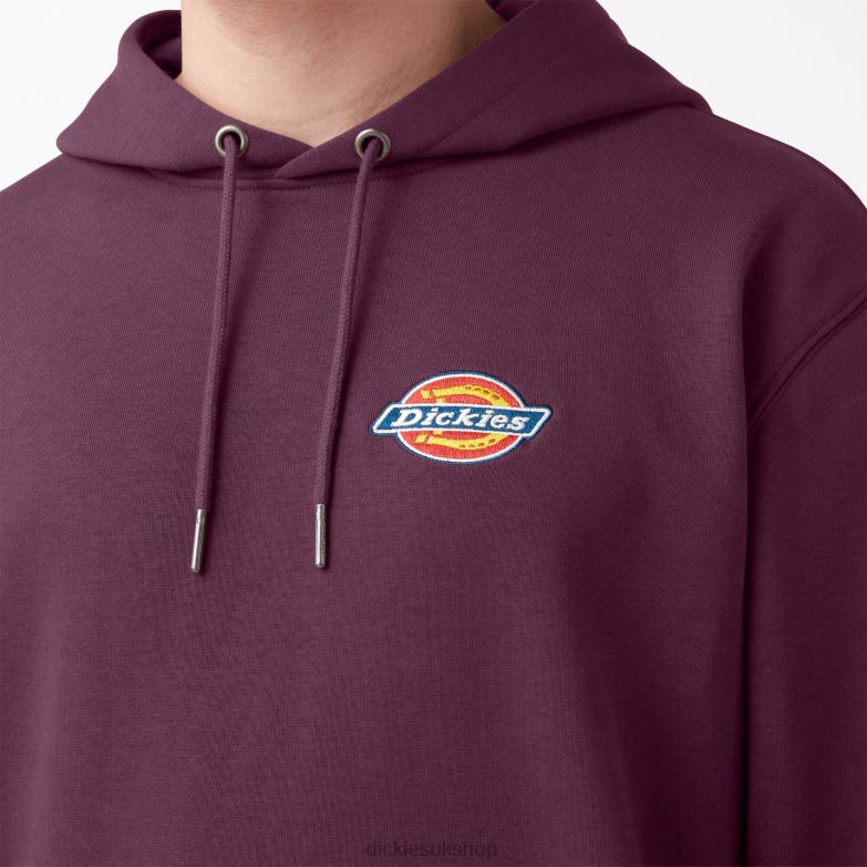 Fleece Embroidered Chest Logo Hoodie Men Dickies Regular 88T841207 Apparel
