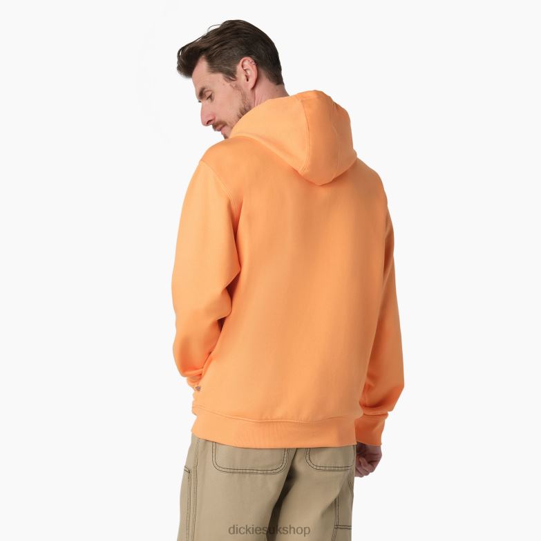 Fleece Embroidered Chest Logo Hoodie Men Dickies Regular 88T841210 Apparel