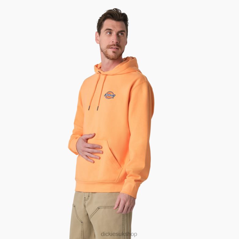 Fleece Embroidered Chest Logo Hoodie Men Dickies Regular 88T841210 Apparel