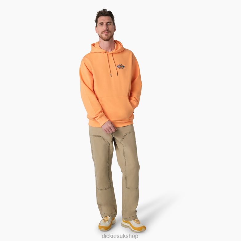 Fleece Embroidered Chest Logo Hoodie Men Dickies Regular 88T841210 Apparel