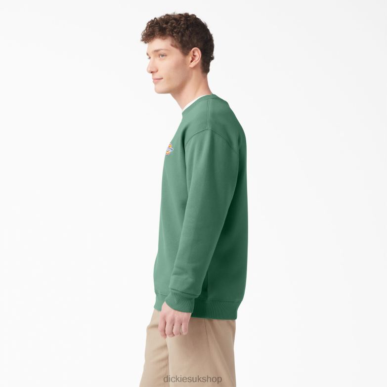 Fleece Embroidered Chest Logo Sweatshirt Men Dickies Regular 88T841130 Apparel