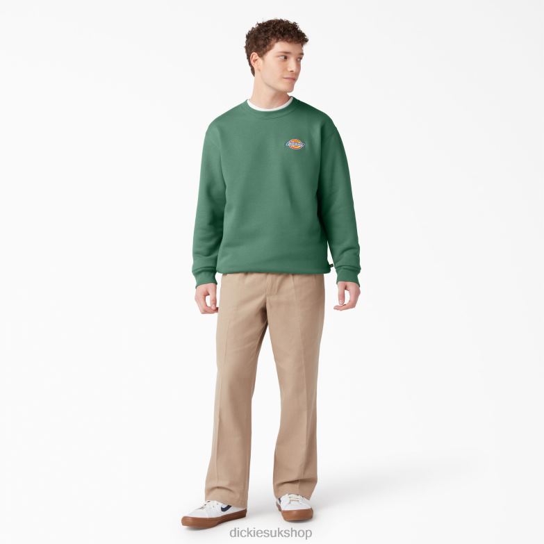 Fleece Embroidered Chest Logo Sweatshirt Men Dickies Regular 88T841130 Apparel