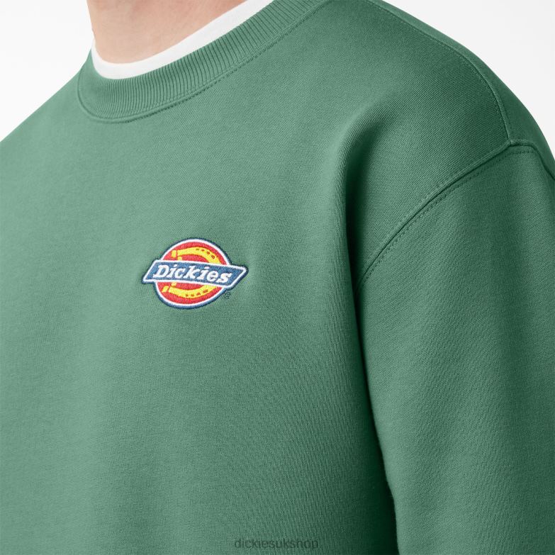 Fleece Embroidered Chest Logo Sweatshirt Men Dickies Regular 88T841130 Apparel