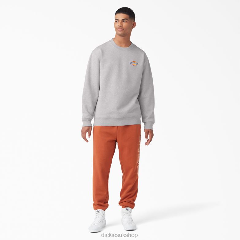 Fleece Embroidered Chest Logo Sweatshirt Men Dickies Regular 88T841131 Apparel
