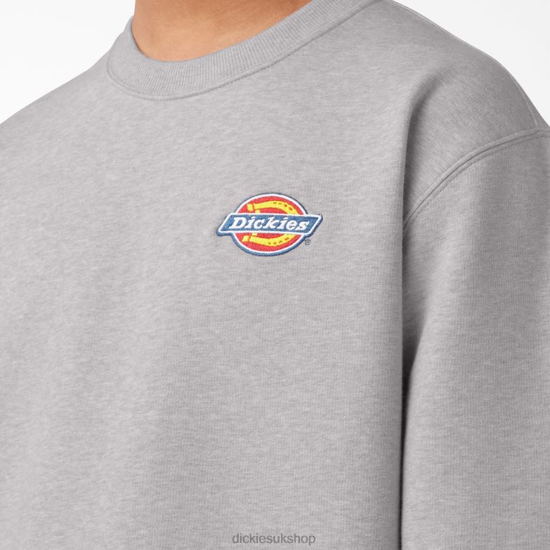 Fleece Embroidered Chest Logo Sweatshirt Men Dickies Regular 88T841131 Apparel