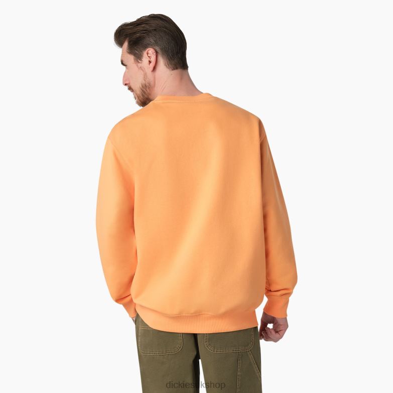 Fleece Embroidered Chest Logo Sweatshirt Men Dickies Regular 88T841133 Apparel