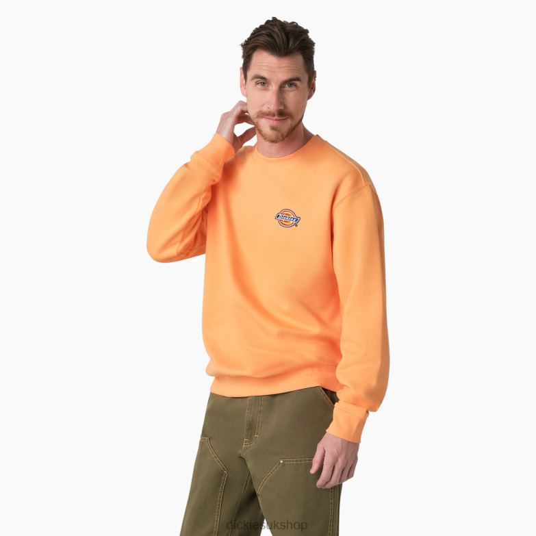 Fleece Embroidered Chest Logo Sweatshirt Men Dickies Regular 88T841133 Apparel