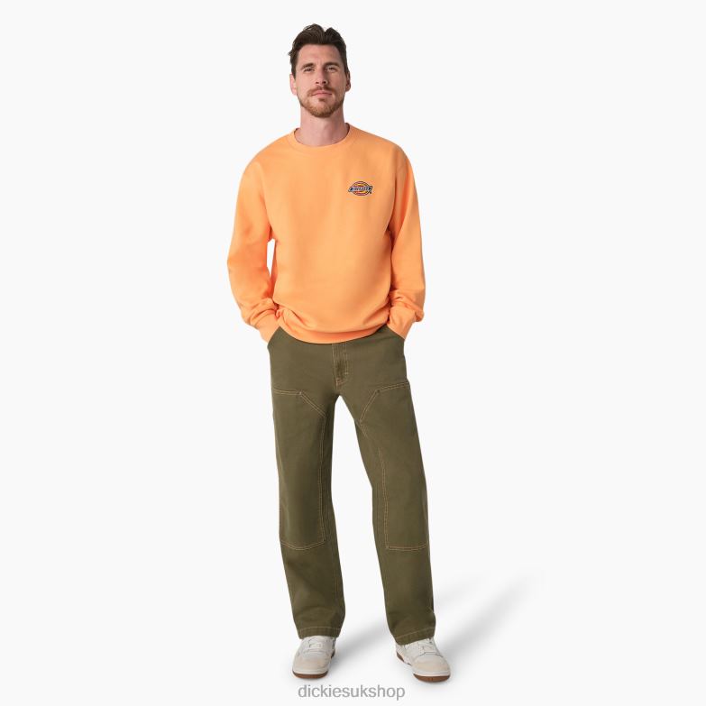 Fleece Embroidered Chest Logo Sweatshirt Men Dickies Regular 88T841133 Apparel
