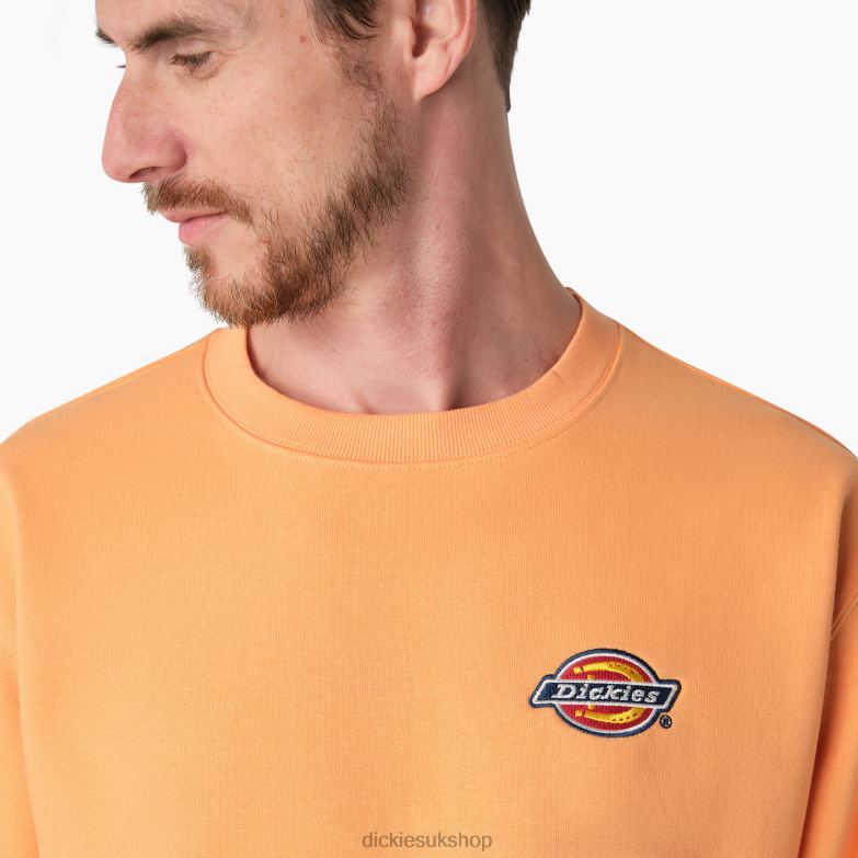 Fleece Embroidered Chest Logo Sweatshirt Men Dickies Regular 88T841133 Apparel