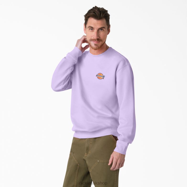 Fleece Embroidered Chest Logo Sweatshirt Men Dickies Regular 88T841134 Apparel