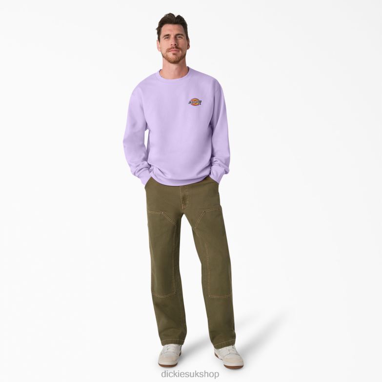 Fleece Embroidered Chest Logo Sweatshirt Men Dickies Regular 88T841134 Apparel