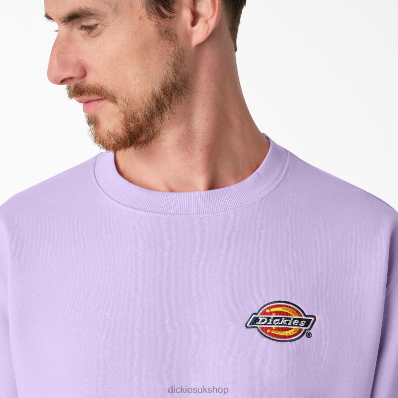 Fleece Embroidered Chest Logo Sweatshirt Men Dickies Regular 88T841134 Apparel