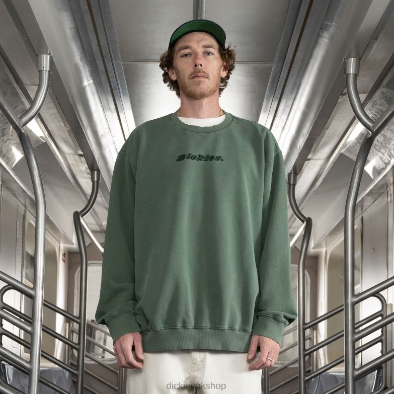 Jake Hayes Embroidered Sweatshirt Men Dickies Regular 88T84997 Apparel