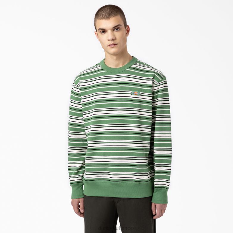Westover Striped Sweatshirt Men Dickies Regular 88T841119 Apparel