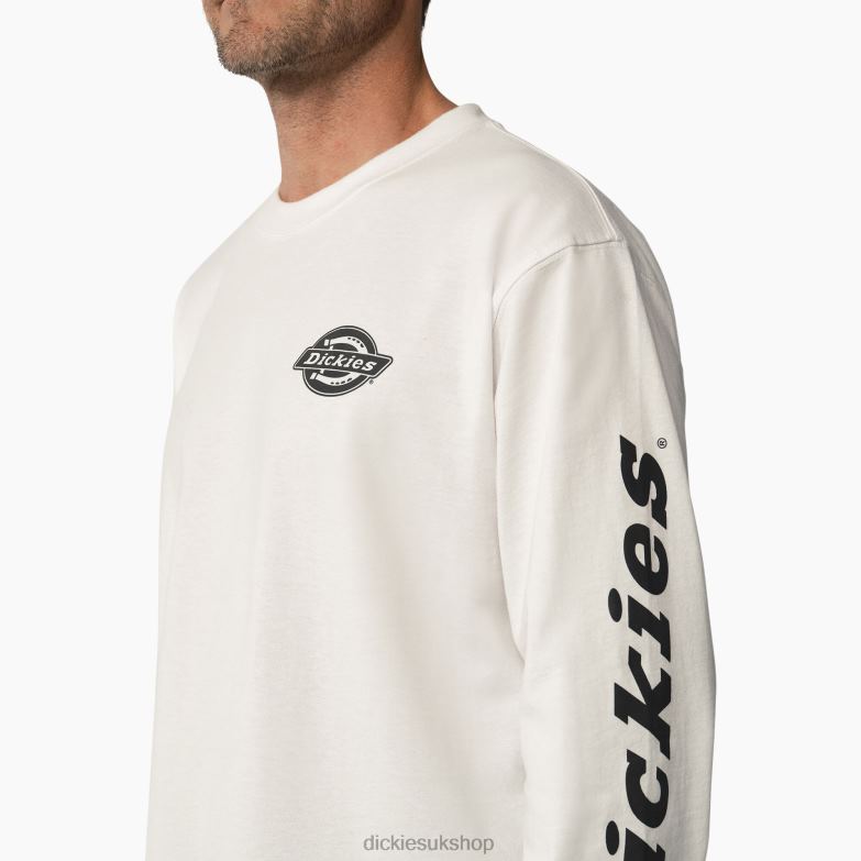 Long Sleeve Heavyweight Logo T-Shirt Men Dickies White (WH) 88T84872 Apparel