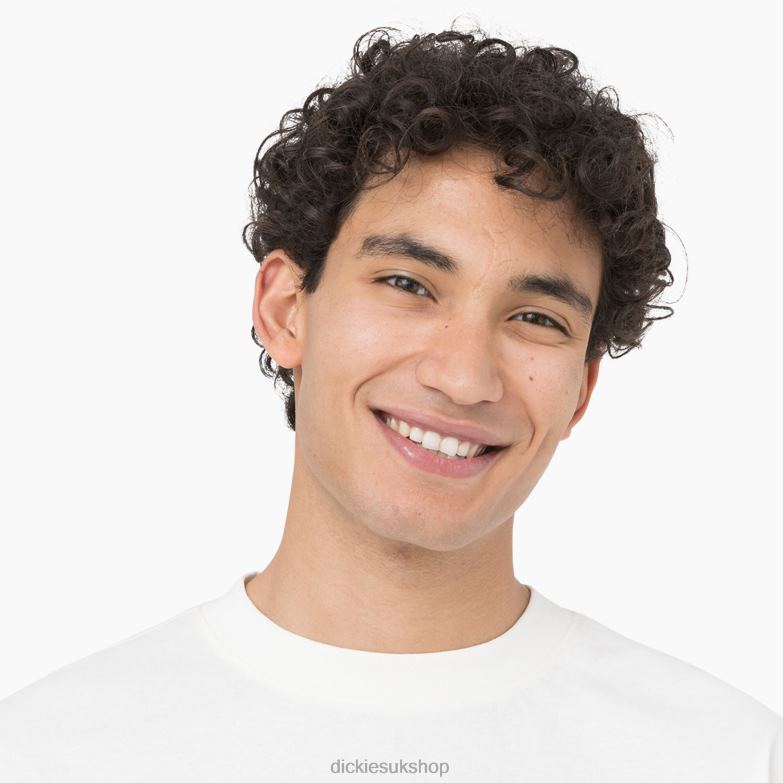 Oatfield Long Sleeve T-Shirt Men Dickies Cloud (CL9) 88T84805 Apparel