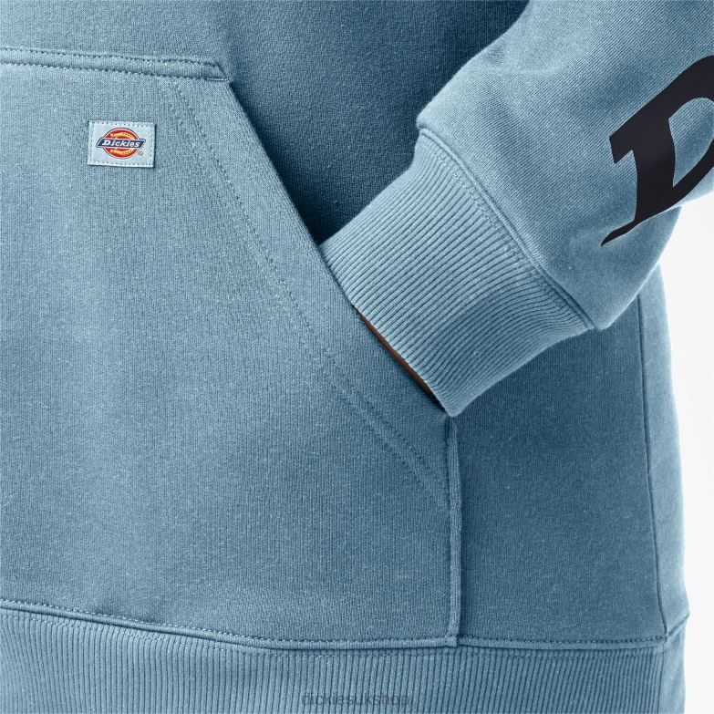 Plus Heavyweight Logo Sleeve Pullover Women Dickies Clear Blue (EU) 88T842343 Apparel