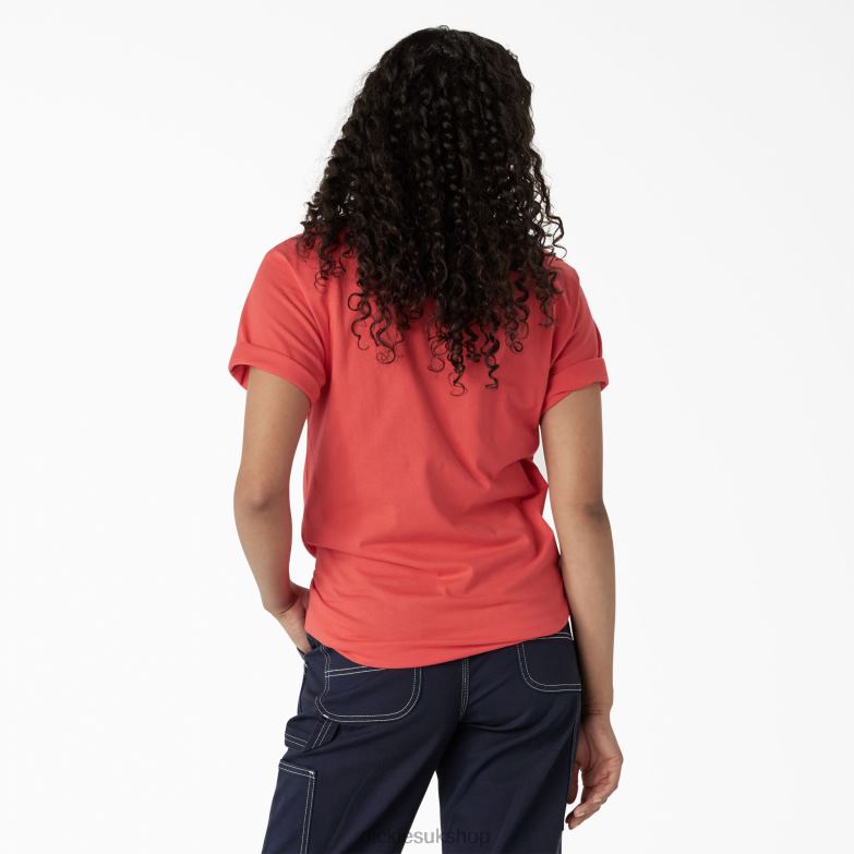 Graphic Band T-Shirt Women Dickies Bittersweet (BW2) 88T842210 Apparel