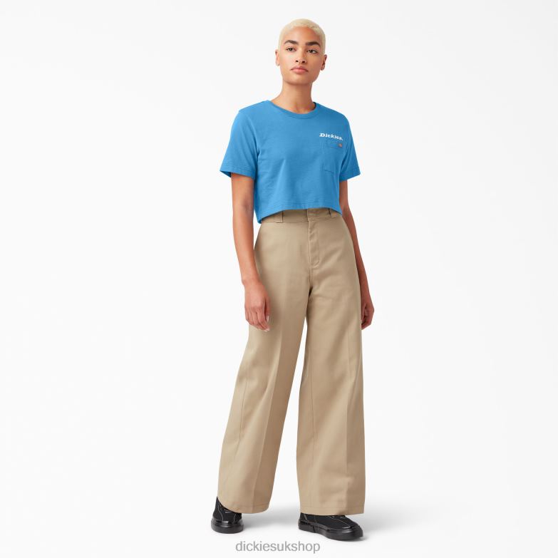 Graphic Cropped T-Shirt Women Dickies Bright Cobalt (B2T) 88T842148 Apparel