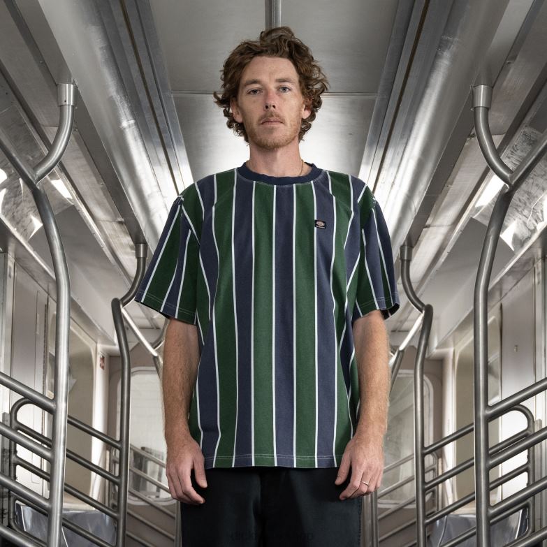 Jake Hayes Striped T-Shirt Men Dickies Navy/Pine Stripe (NSN) 88T84779 Apparel