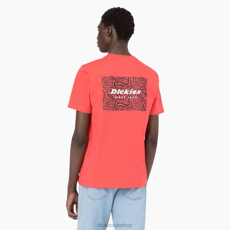 Leesburg Short Sleeve T-Shirt Men Dickies Bittersweet (BW2) 88T84877 Apparel