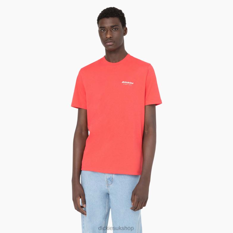 Leesburg Short Sleeve T-Shirt Men Dickies Bittersweet (BW2) 88T84877 Apparel