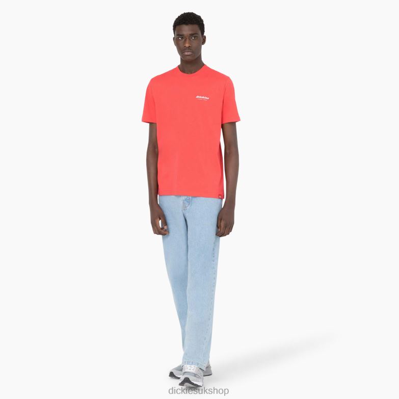Leesburg Short Sleeve T-Shirt Men Dickies Bittersweet (BW2) 88T84877 Apparel