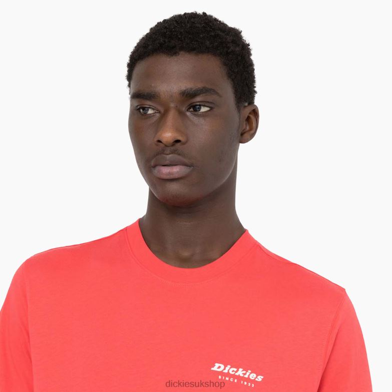Leesburg Short Sleeve T-Shirt Men Dickies Bittersweet (BW2) 88T84877 Apparel