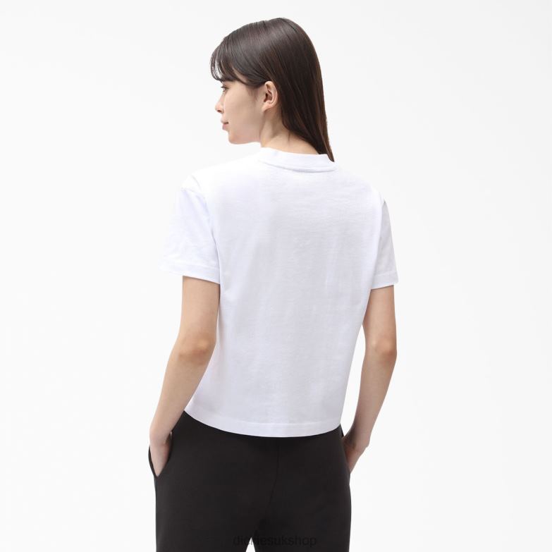 Loretto Cropped T-Shirt Women Dickies White (WH) 88T842180 Apparel