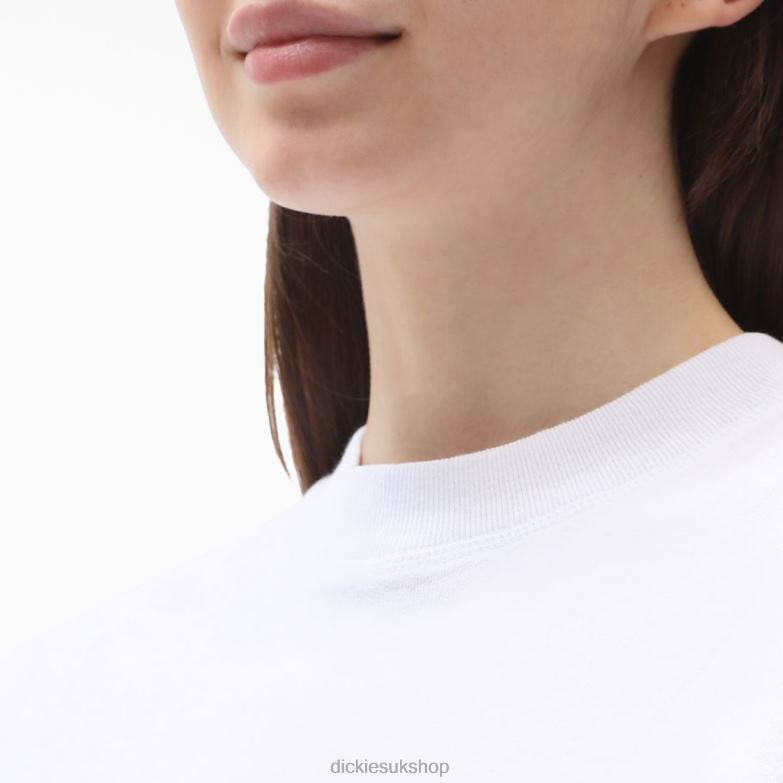 Loretto Cropped T-Shirt Women Dickies White (WH) 88T842180 Apparel