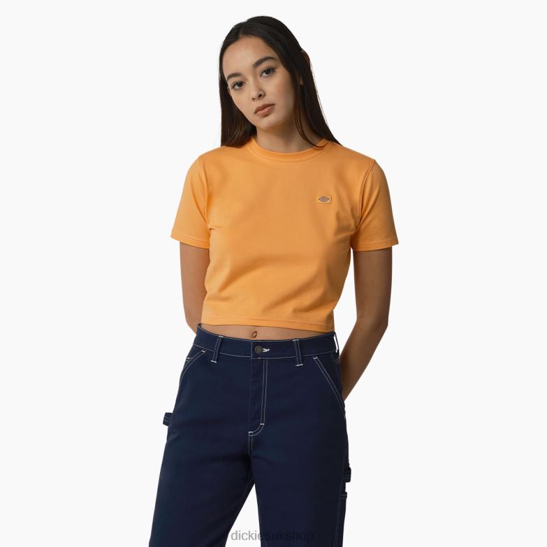 Maple Valley Cropped T-Shirt Women Dickies Papaya/Cloud Stitching (YCS) 88T842011 Apparel