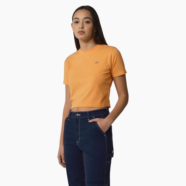 Maple Valley Cropped T-Shirt Women Dickies Papaya/Cloud Stitching (YCS) 88T842011 Apparel