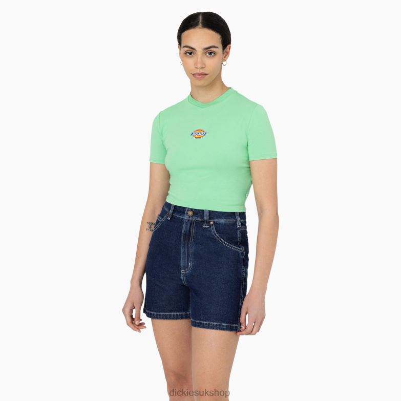 Maple Valley Logo Cropped T-Shirt Women Dickies Apple Mint (AR2) 88T842094 Apparel