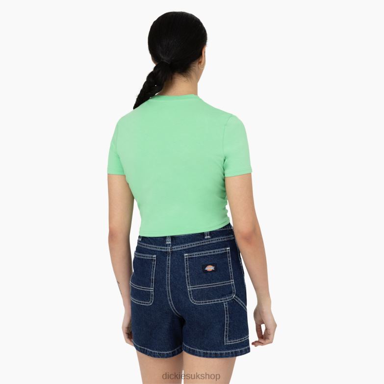 Maple Valley Logo Cropped T-Shirt Women Dickies Apple Mint (AR2) 88T842094 Apparel