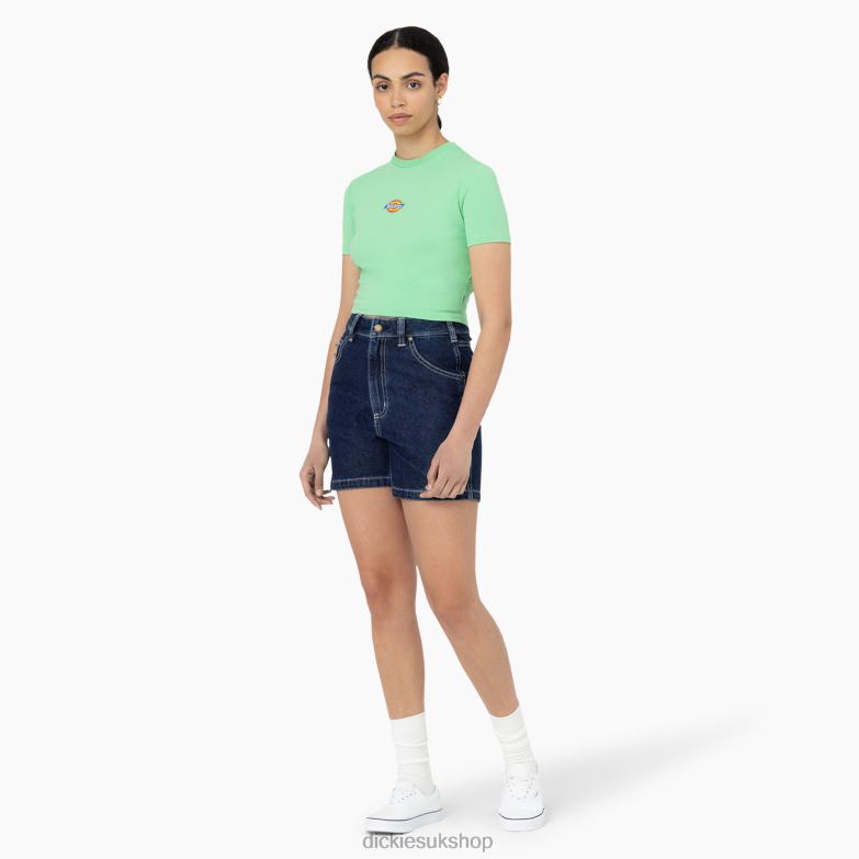 Maple Valley Logo Cropped T-Shirt Women Dickies Apple Mint (AR2) 88T842094 Apparel