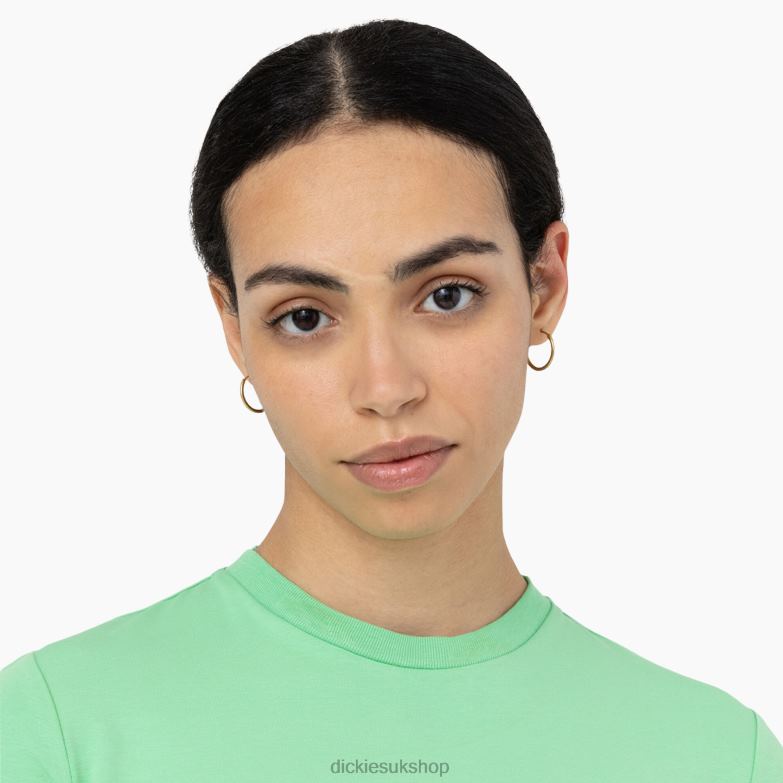 Maple Valley Logo Cropped T-Shirt Women Dickies Apple Mint (AR2) 88T842094 Apparel
